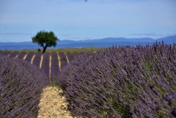 Manosque - niekde na brehu jazera Lac de Saint Croix (1.de)