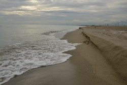 Sonato - Viareggio (8.de)